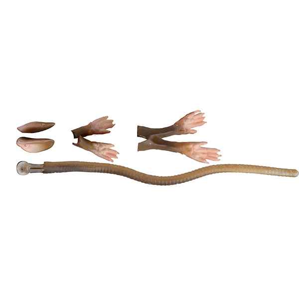 Savage Gear LB 3D Rad Maintenance Kit 20cm