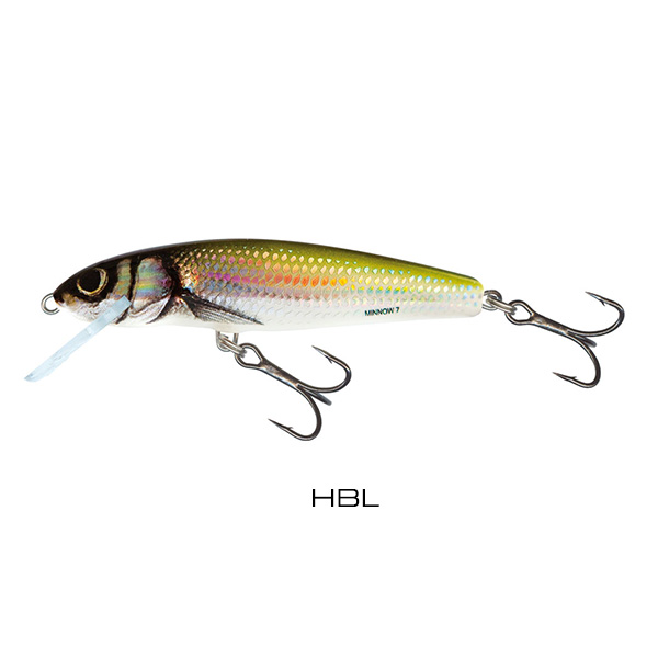 Salmo Minnow HBL 7cm 8g