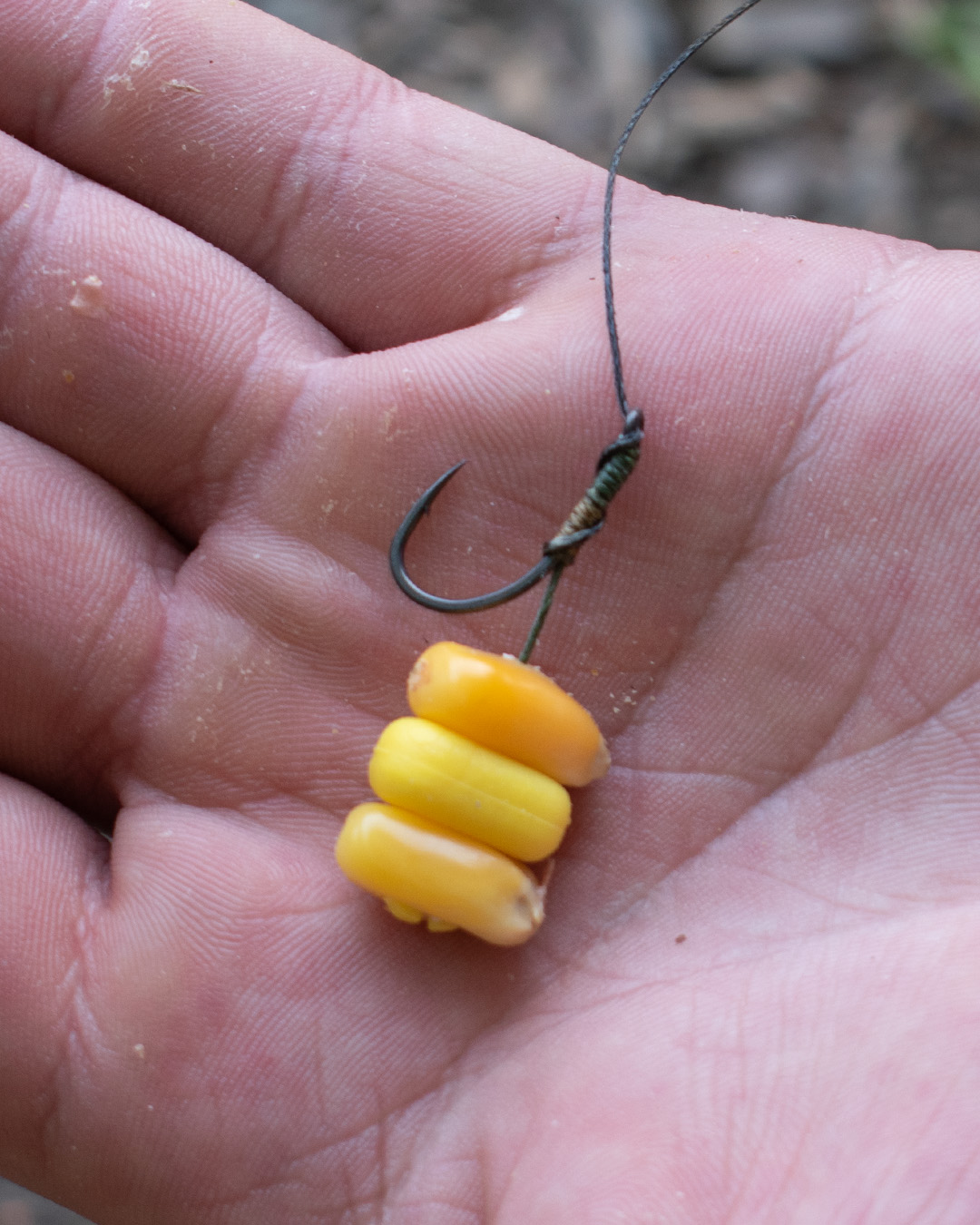 Mate Flavored Fake Sweetcorn
