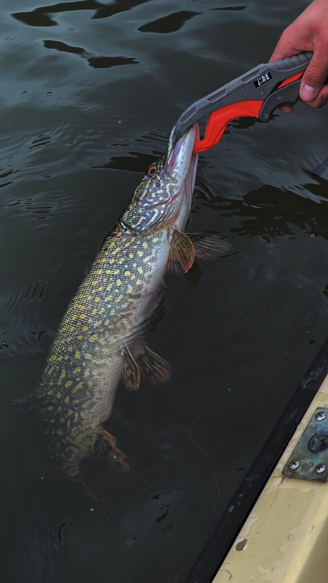 MATE PLASTIC FISH LIP GRIP 9.5″