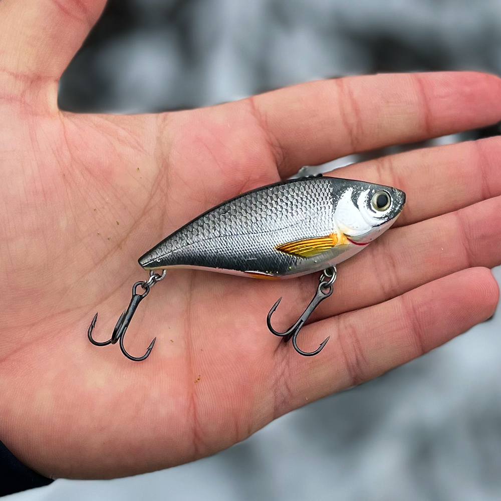 Livetarget Golden Shiner Rattlebait 70mm, 14gr