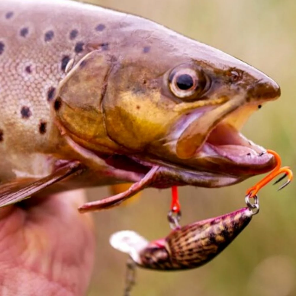 BKK Spear 21 UVO, rinfuzno pakovanje 50kom