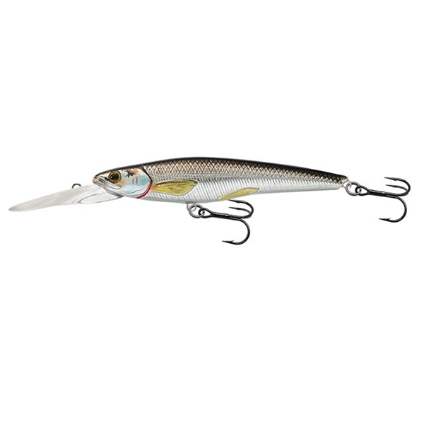 Livetarget Rainbow Smelt Jerkbait Deep Dive 115mm, Silver Black