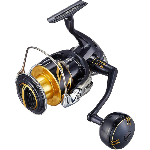 SHIMANO 20 STELLA SW 6000HG