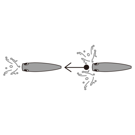 YO-ZURI 3DB POPPER FLOATING 75mm