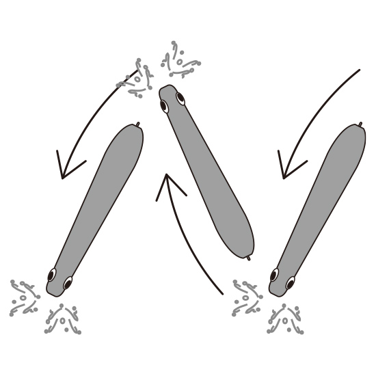 YO-ZURI 3D INSHORE PENCIL POPPER FLOATING 135mm