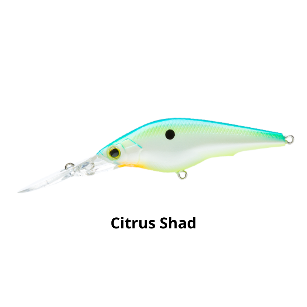 HARDCORE SHAD SR (SHALLOW RUNNER) 60 SLOW FLOATING 60mm