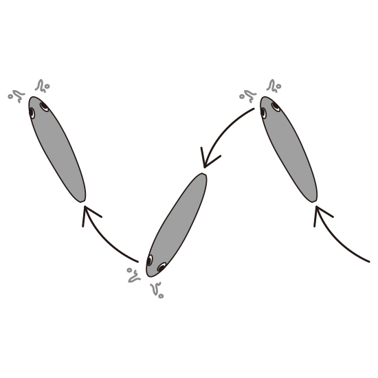 YO-ZURI 3DR-X PENCIL 75mm