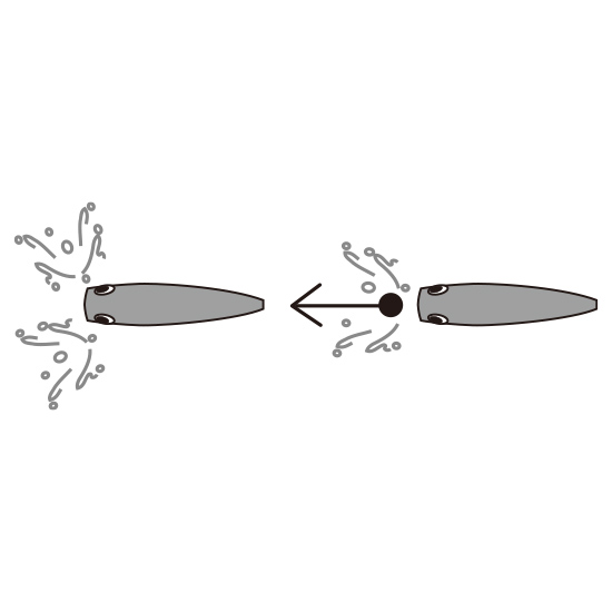 YO-ZURI 3DR-X POPPER 65mm