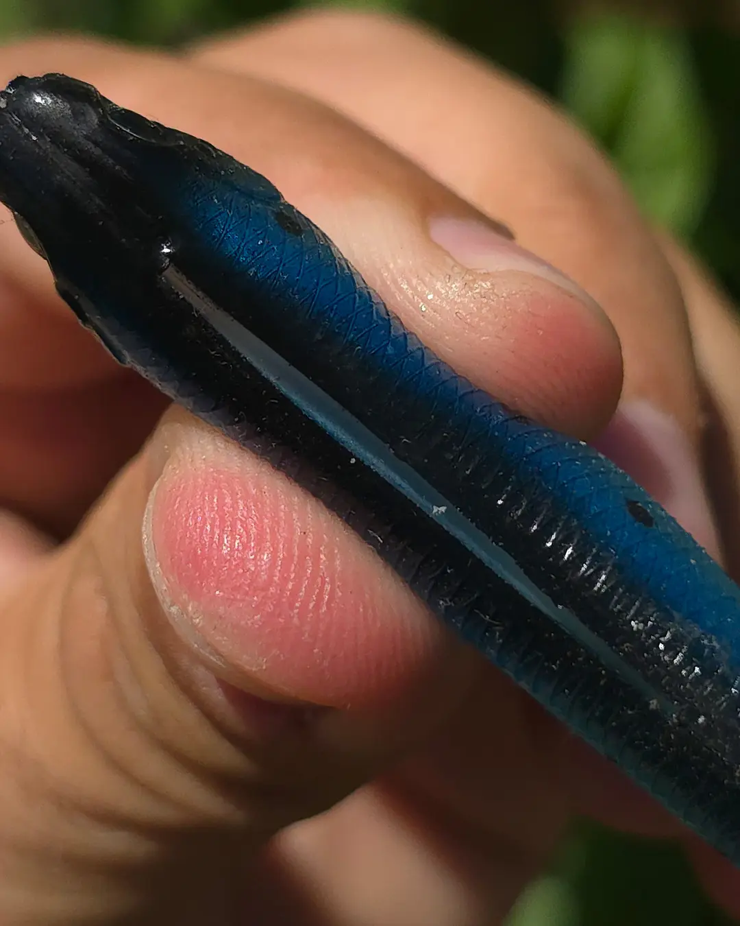 MATE FROGGY SHAD 9cm