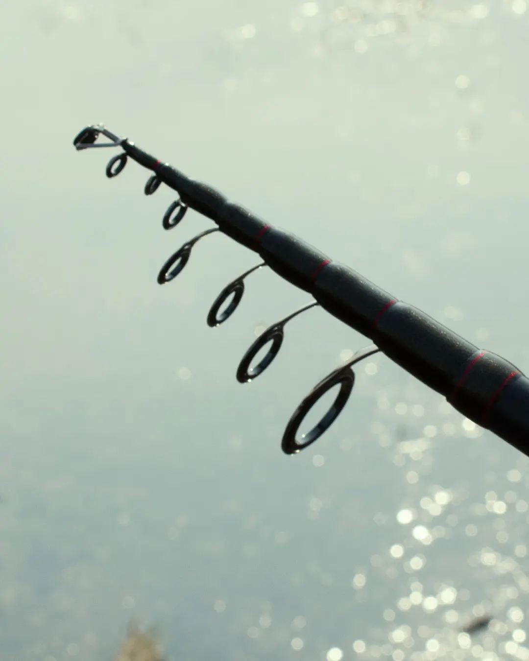 MATE BASIC TELE SPIN  8.0 244cm 10-40g