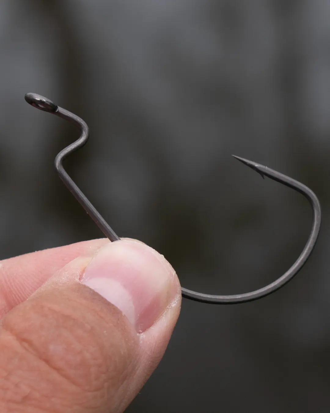 BKK Armorpoint-Offset Worm EWG-Chebu