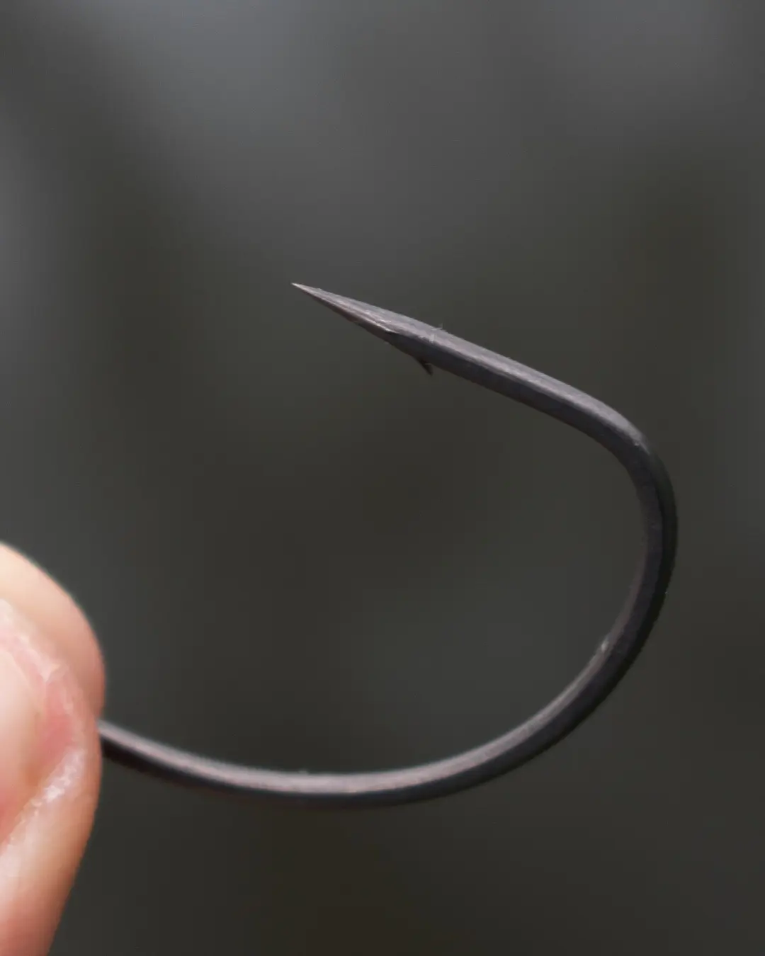 BKK Armorpoint-Offset Worm EWG-Chebu